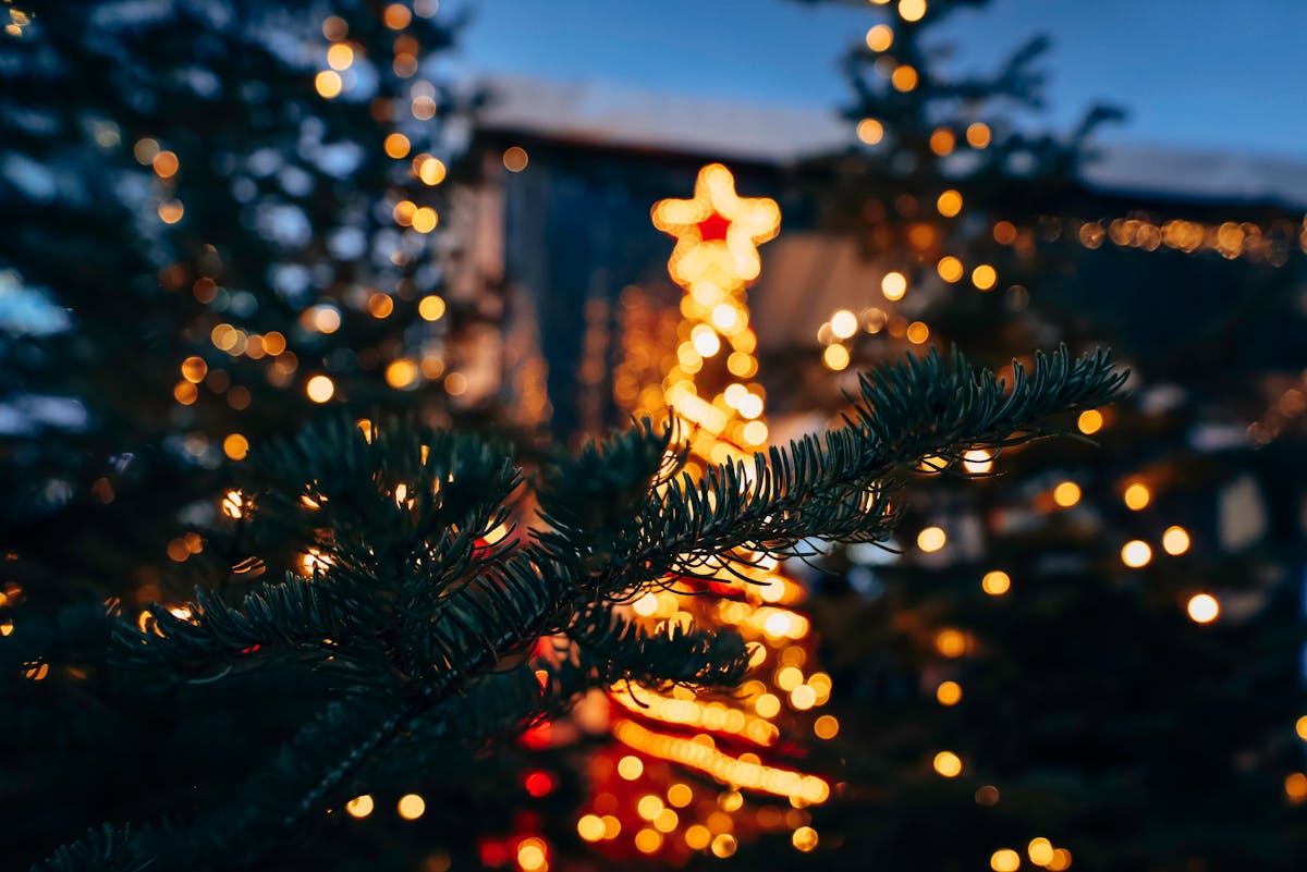 Такой погоды на Новый год никто не ждал: прогноз на 30 декабря – 1 января по Гродненской области  