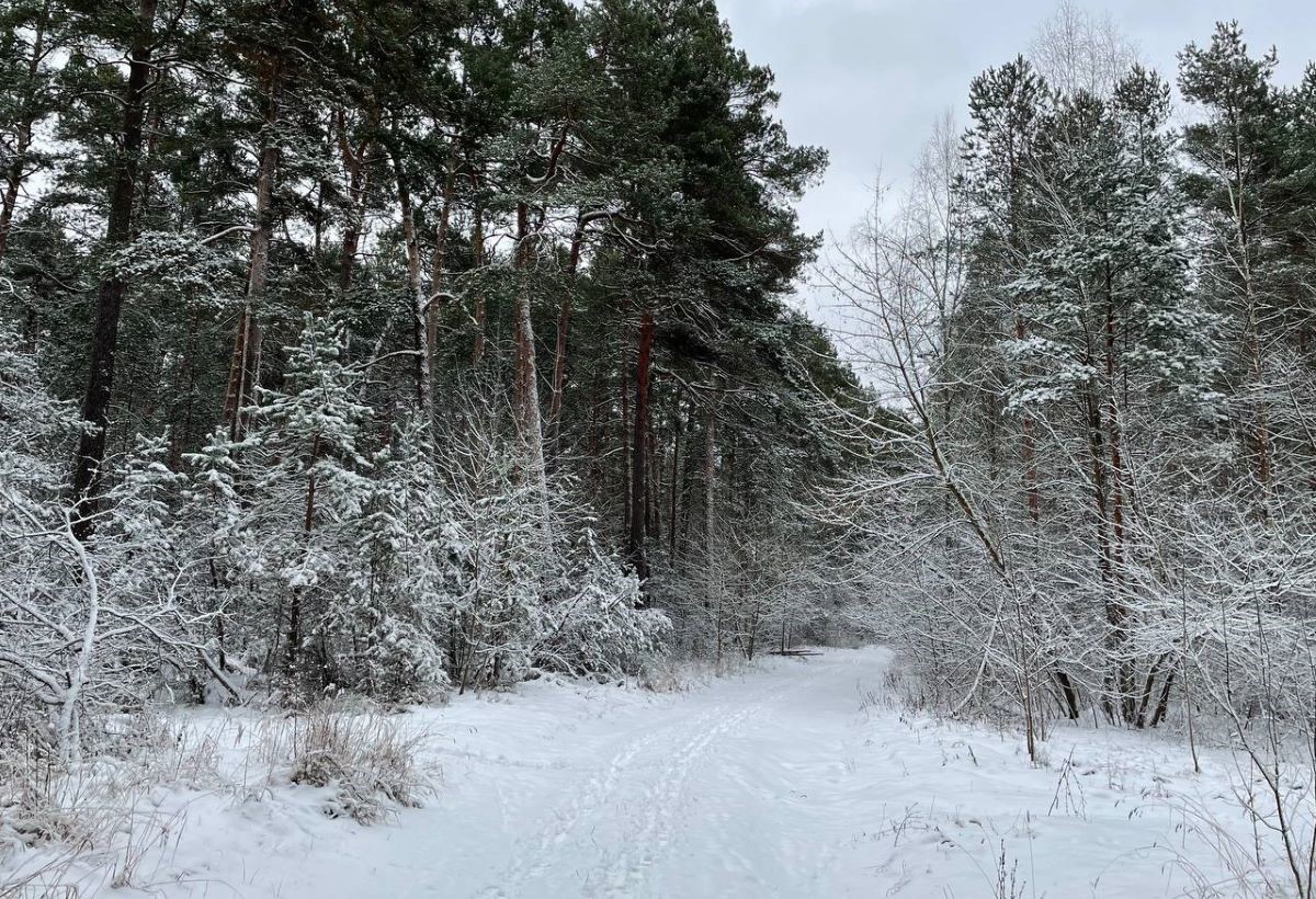 Морозы вернутся: о погоде на Гродненщине 3-5 января