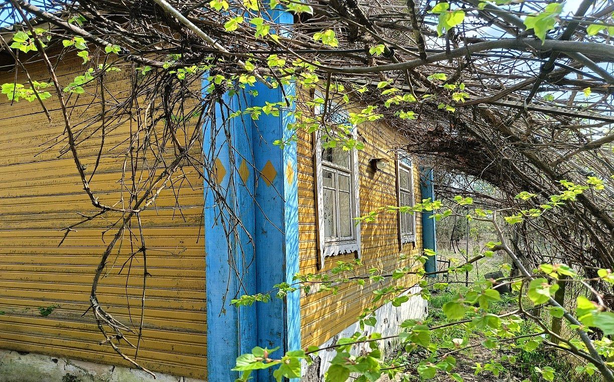 Казенные Лычицы