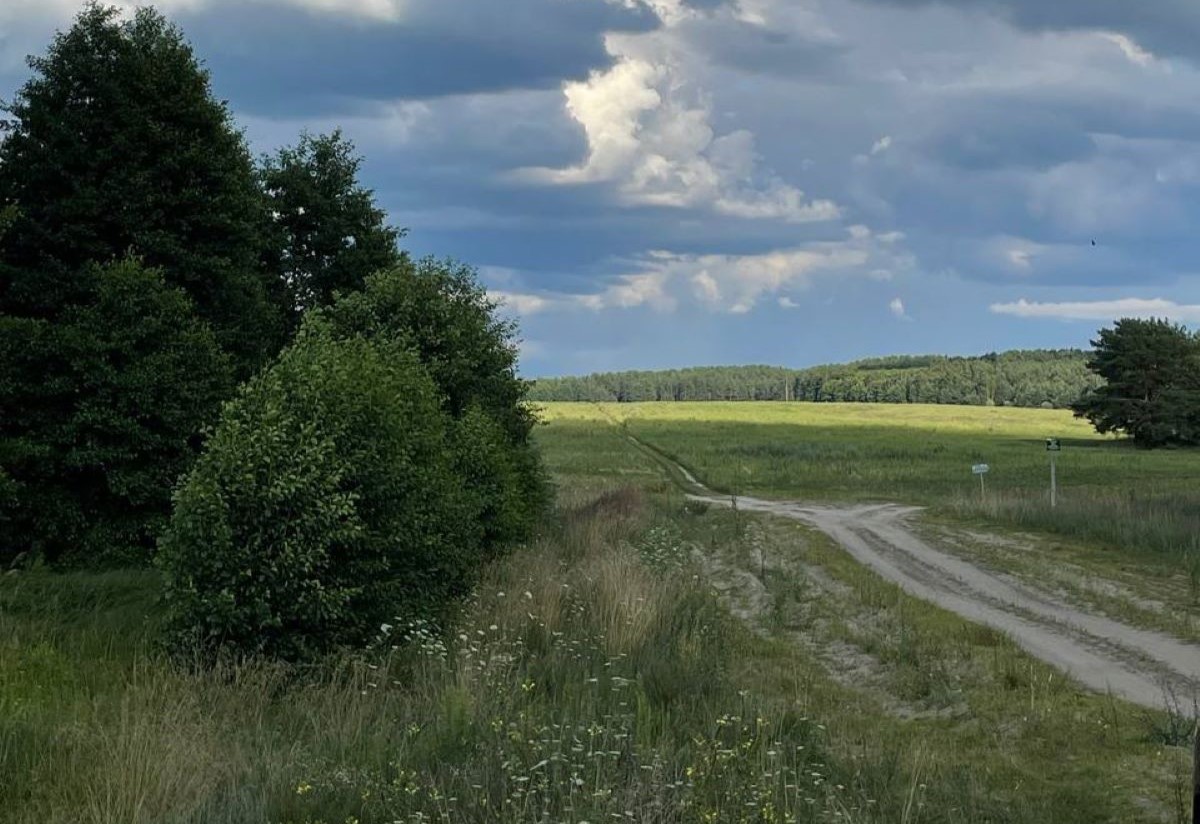 погода