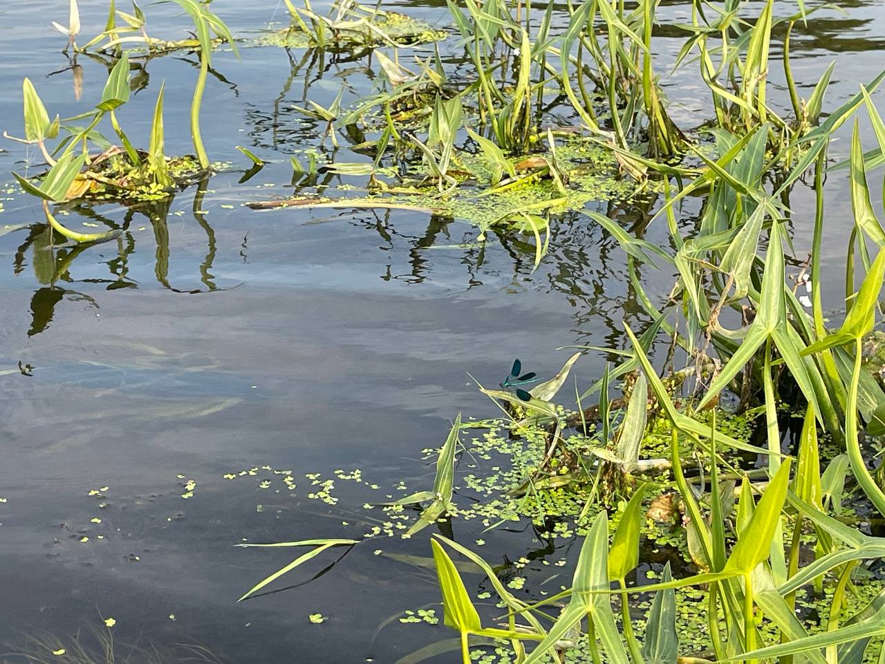 photo 2026 08 04 19 37 35