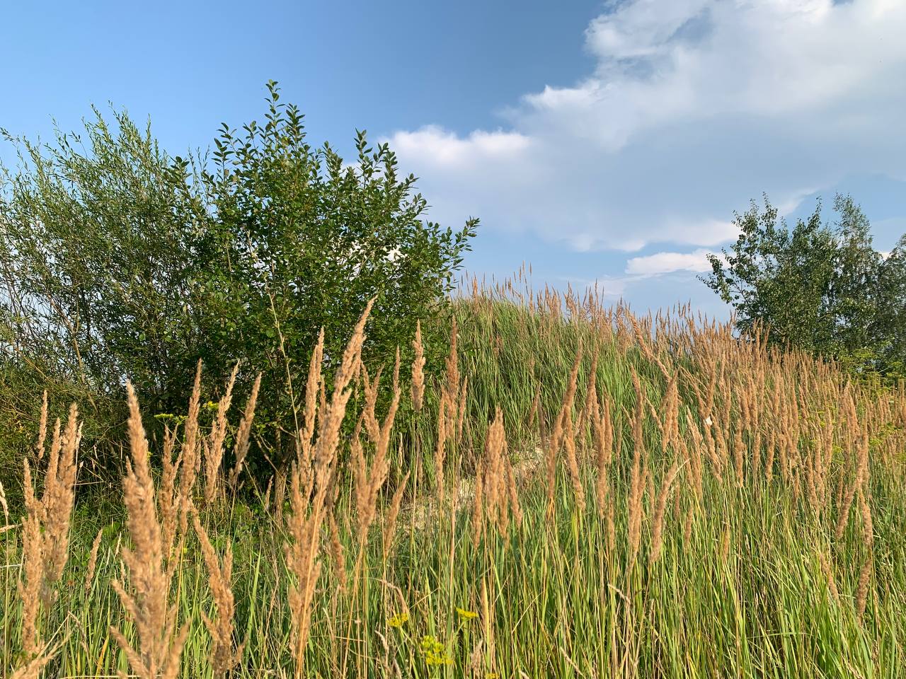 photo 2026 08 02 11 38 18