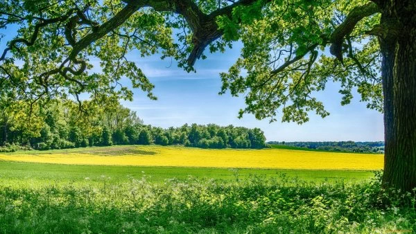 12 июля — день Петра и Павла. Что можно, а что нельзя делать в этот праздник