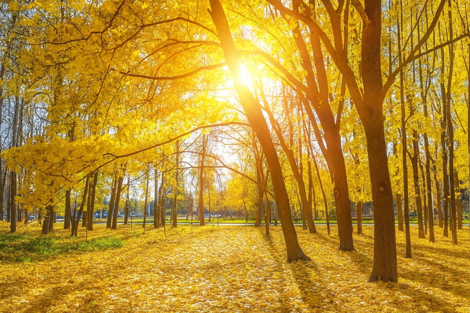 22 ноября — Матрёна Зимняя: день, который привлекает удачу