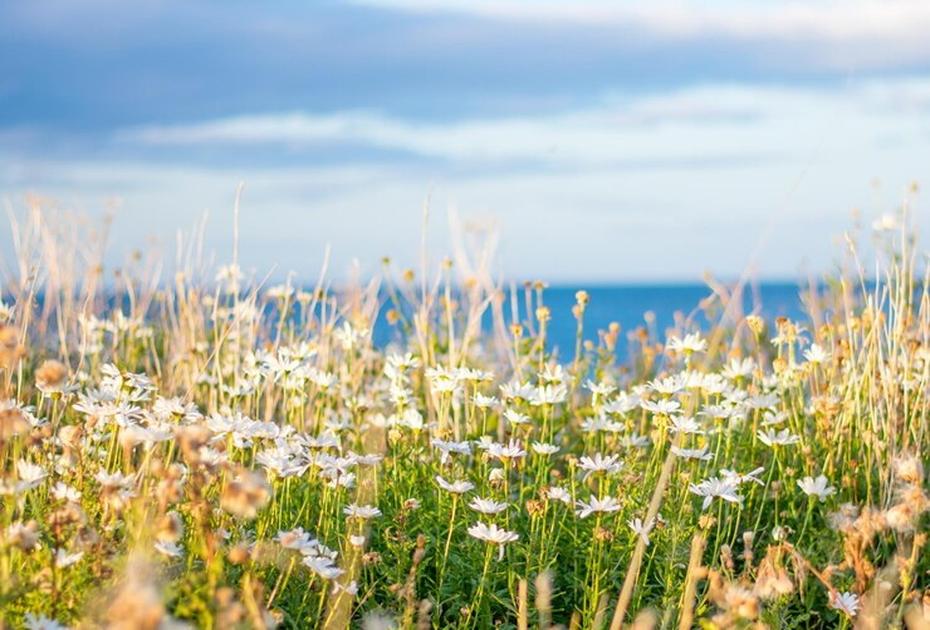 28 мая — Пахом Тёплый. Что обязательно надо сделать в этот день, а чего стоит избегать