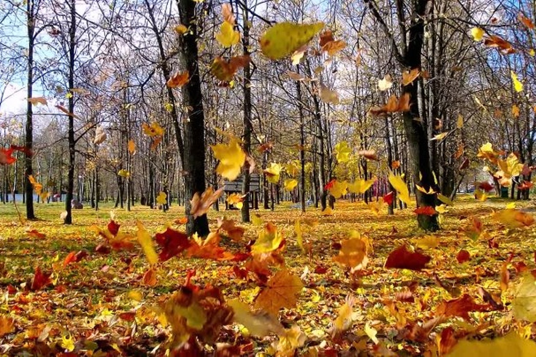 3 октября: какие запреты соблюдали женщины в Астафьев день