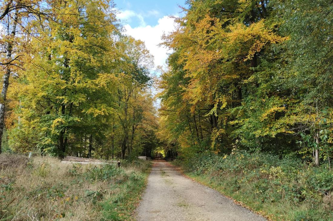 5 ноября — сильный день осени: что нужно успеть сделать в День Якова