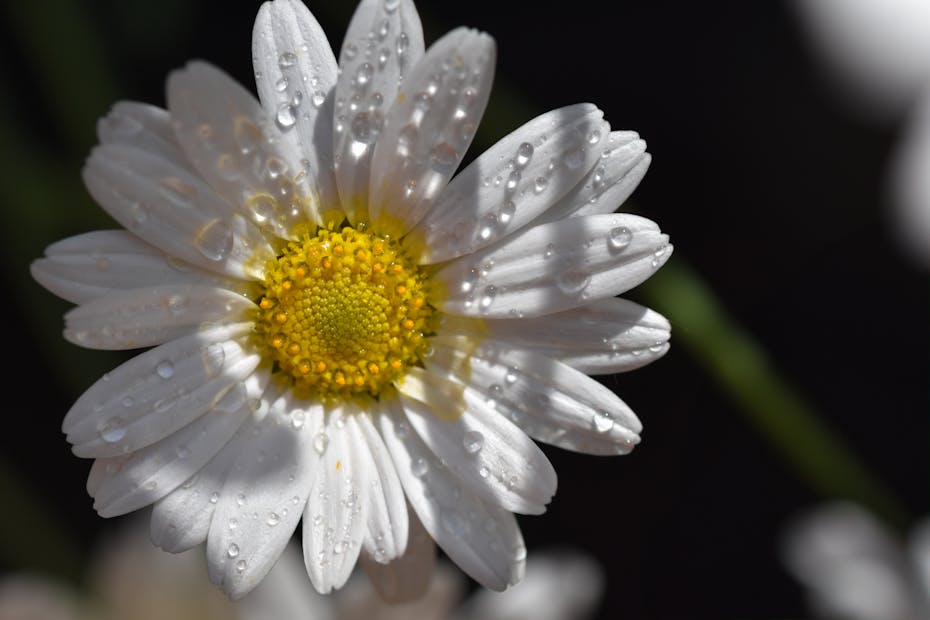 Что будет происходить с погодой на Гродненщине 3-5 июня, рассказали синоптики