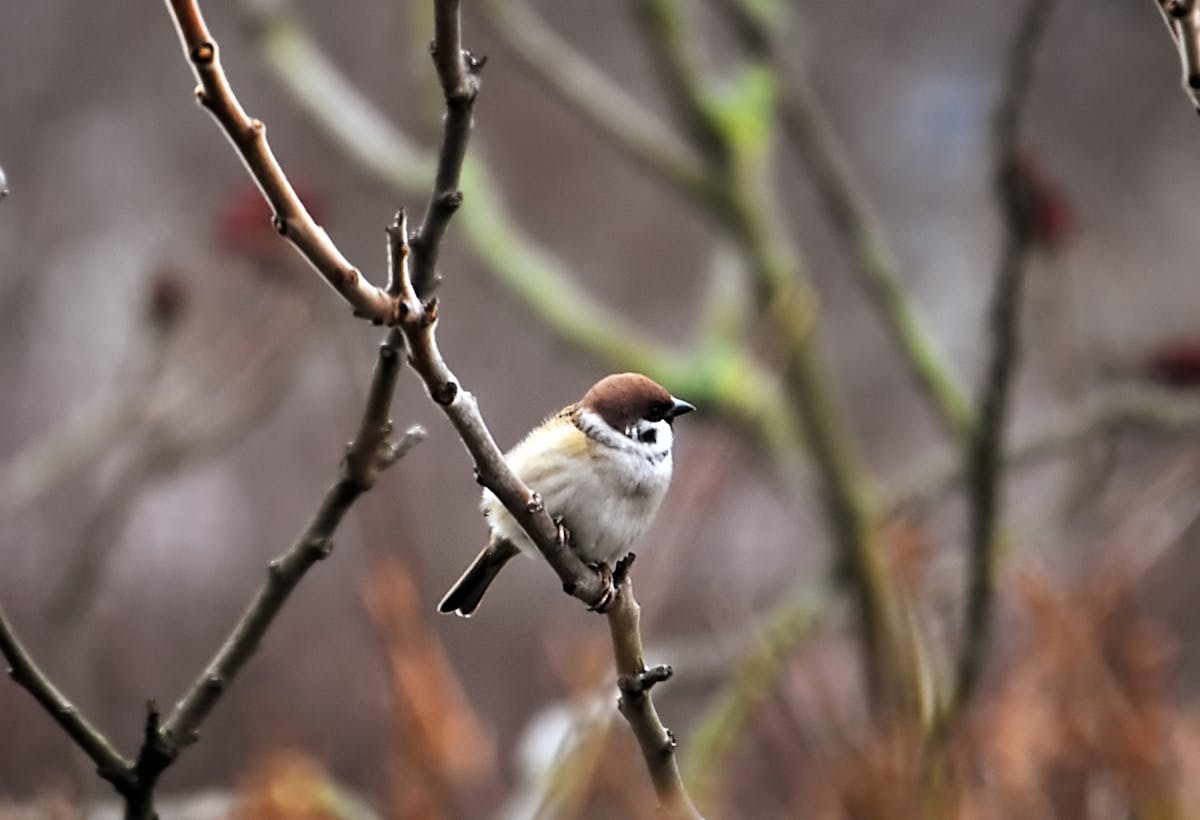 Что будет с погодой на Гродненщине 7-9 декабря
