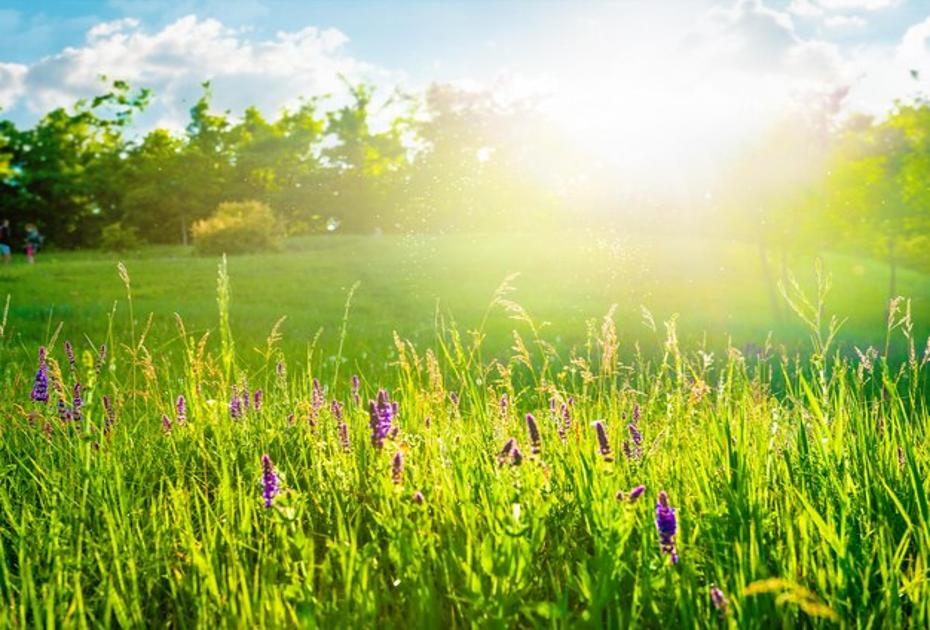 Что категорически запрещено делать 5 июня — народные запреты Левонова дня