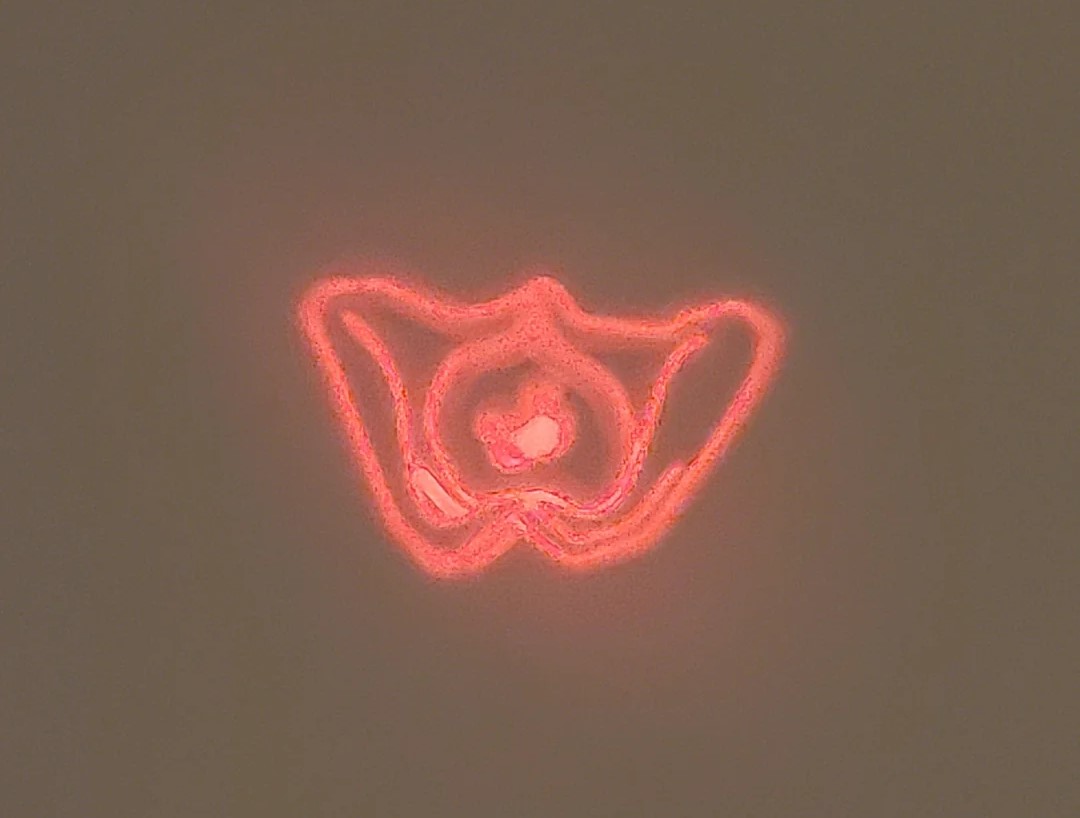 Что за странная игрушка у моей дочери? Мать была озадачена, когда узнала ответ