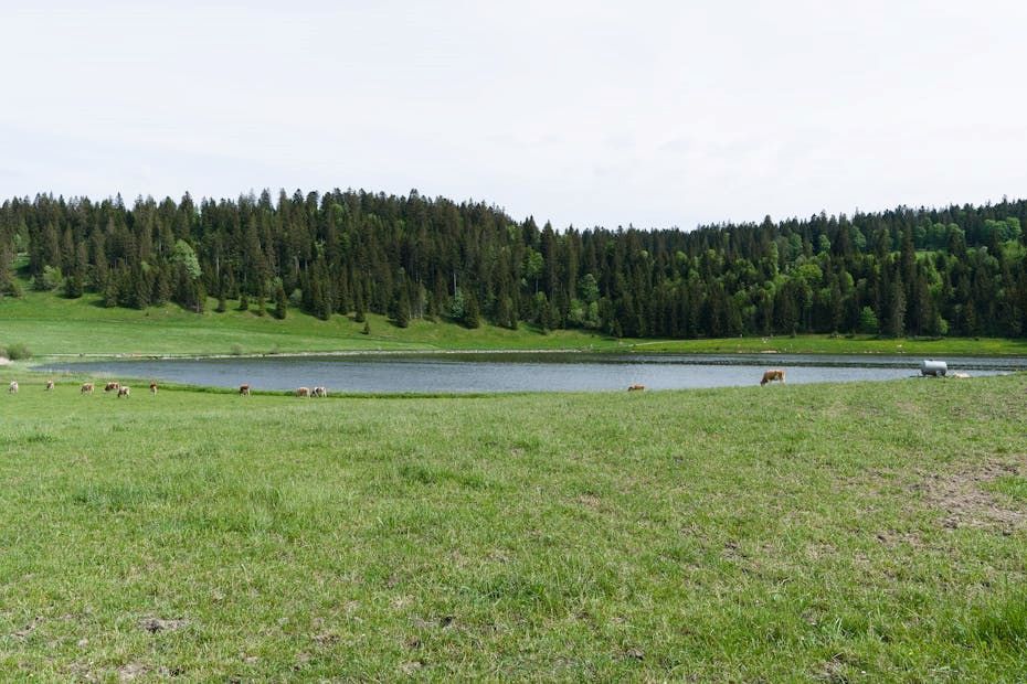 Что ждать от природы ближайшие трое суток на Гродненщине, рассказали синоптики