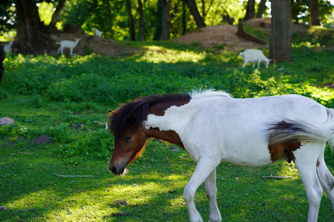 Для тех, кто ищет отдых без суеты, в Слонимском районе есть одно местечко