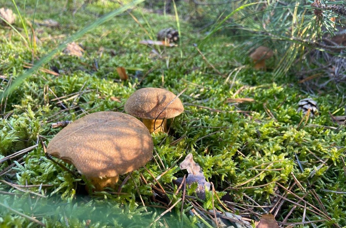 До свидания, тепло! О погоде на Гродненщине 28-30 сентября