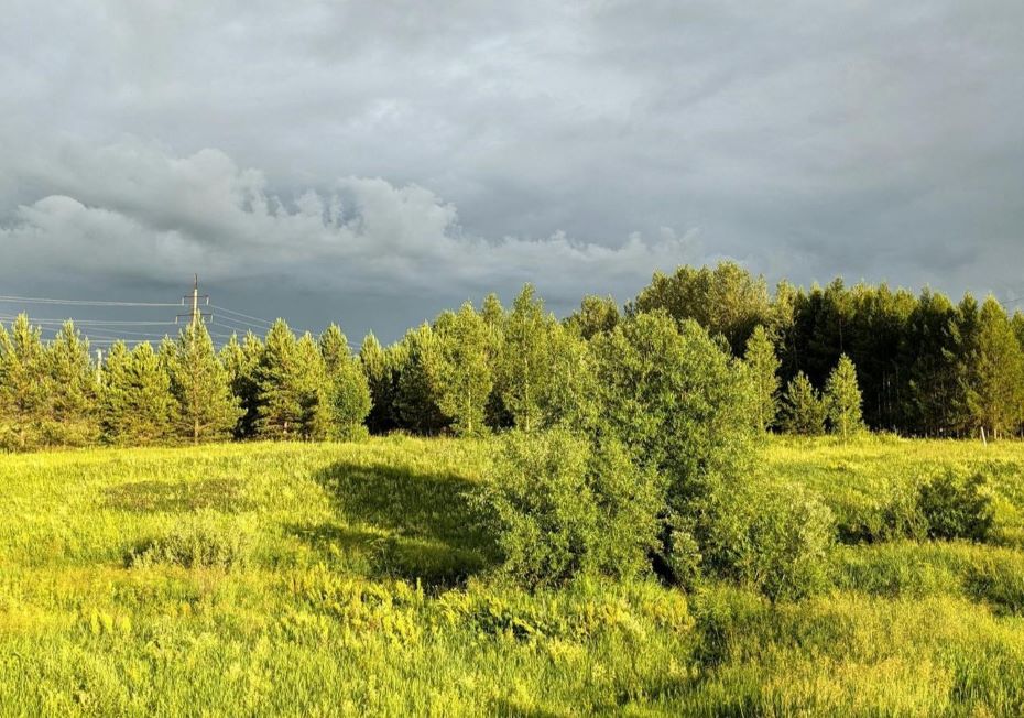 Дожди, ветер и грозы ждут Гродненщину в ближайшее время