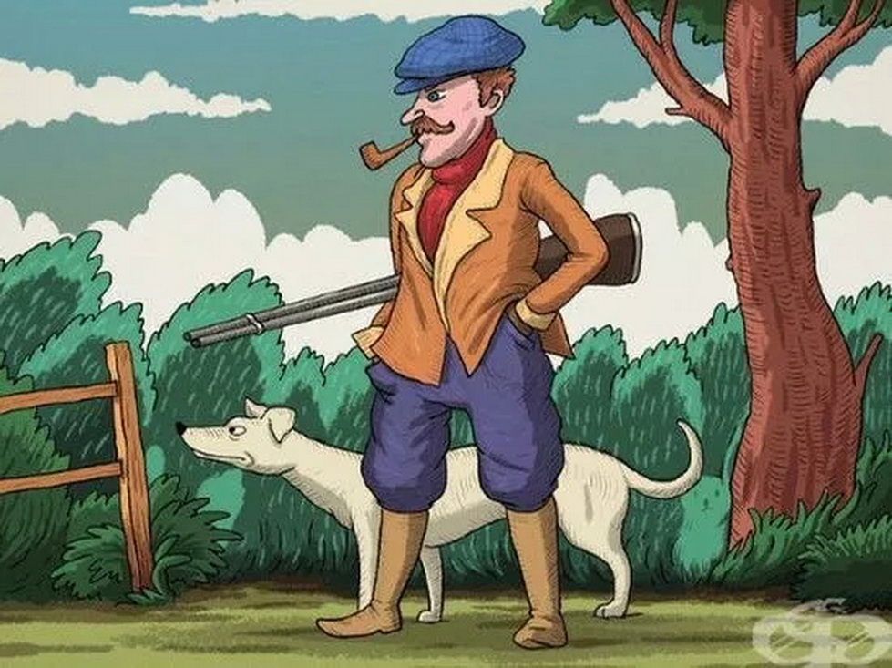 Если вы нашли зайца — у вас талант видеть то, что скрыто от других