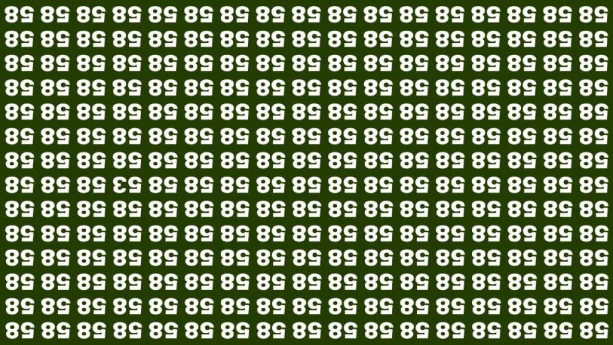 Если вы заметите на картинке число 53, у вас феноменальная наблюдательность