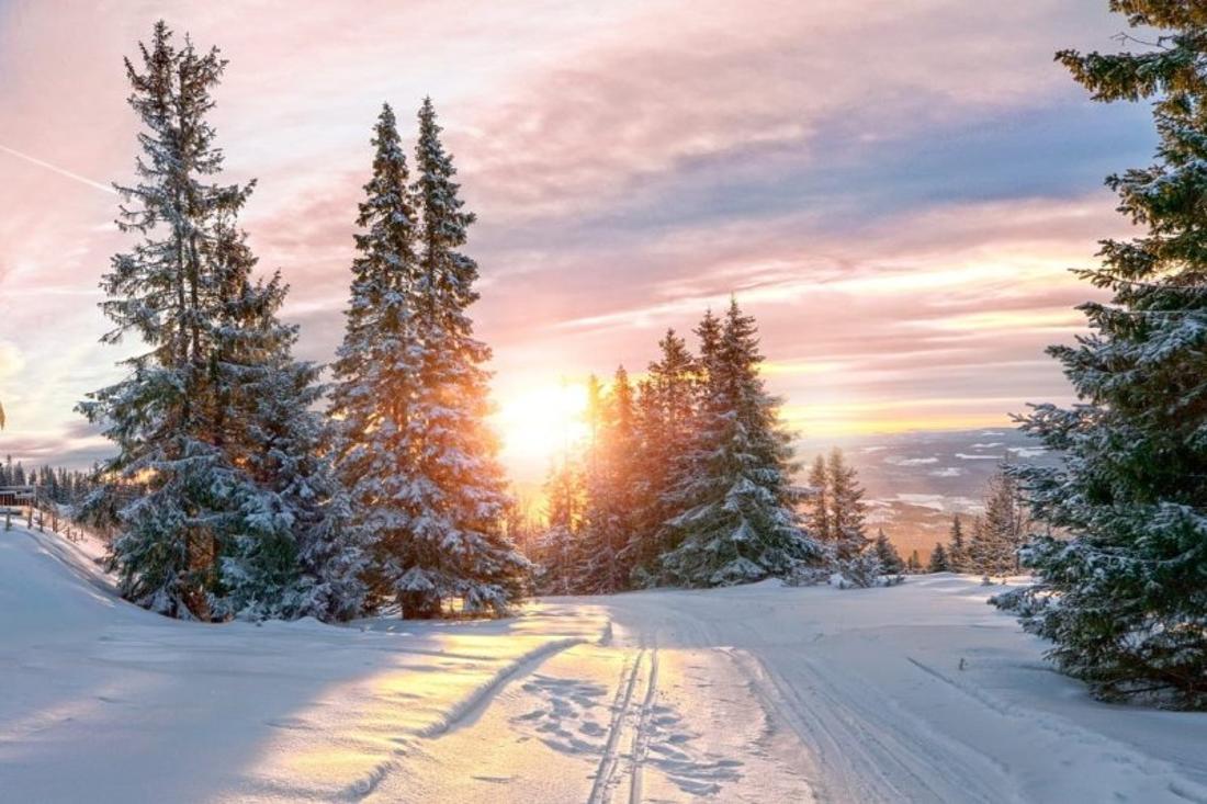 Эта примета 16 ноября подсказывала, что зима будет снежной