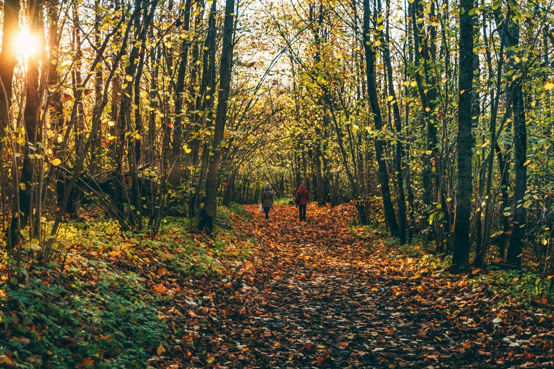 Эта примета 4 ноября указывает, что зима будет холодной