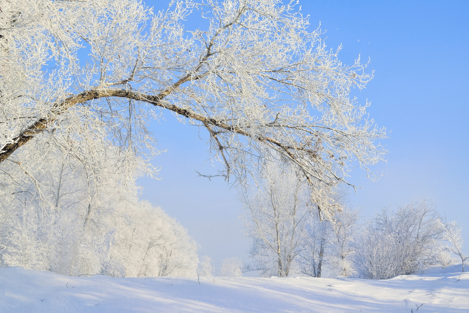 Эта примета 8 декабря предупреждает о дождливом лете