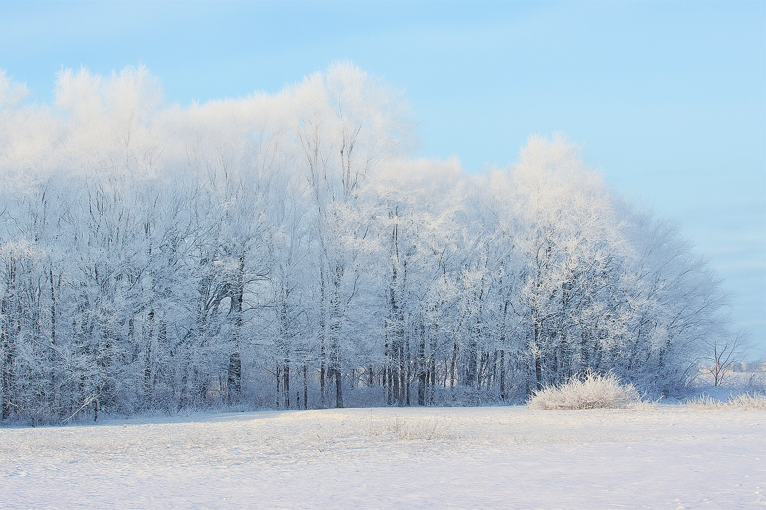 Эта примета 8 ноября подскажет, будет ли зима снежной и холодной