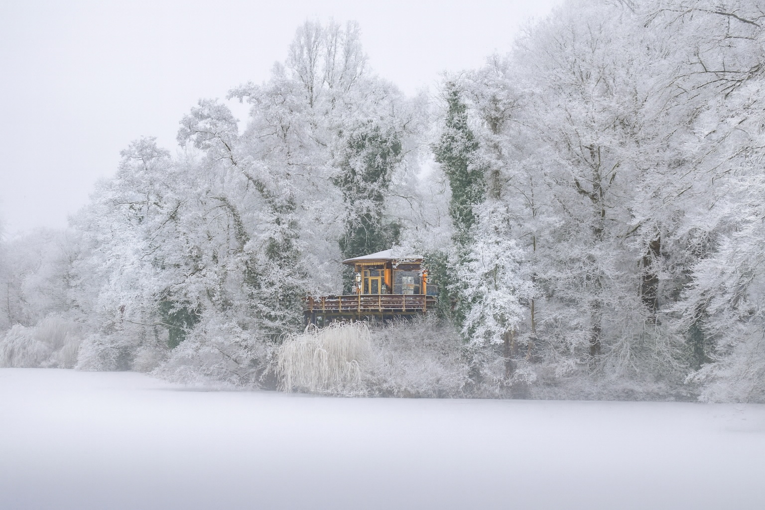 Эти приметы обещают лютую и морозную зиму