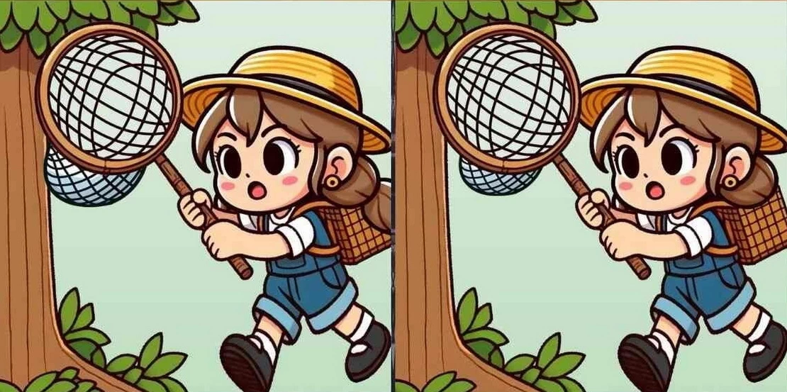 Эти три отличия на картинке замечают только наблюдательные. А вы успеете за 24 секунды?