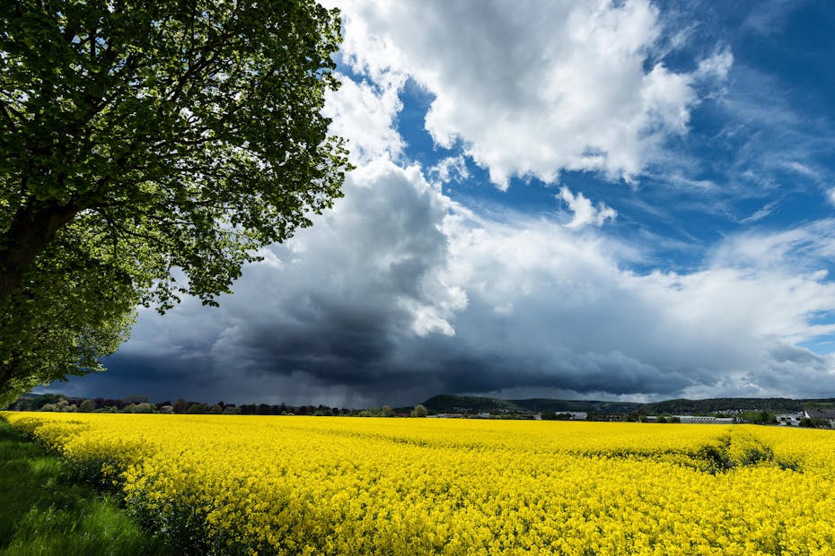 Гродненские синоптики выпустили экстренное предупреждение об опасных погодных явлениях