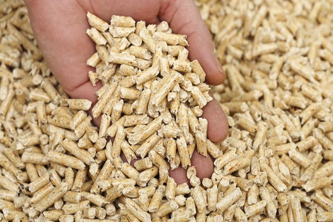 Как белорусы могут сэкономить на отоплении зимой