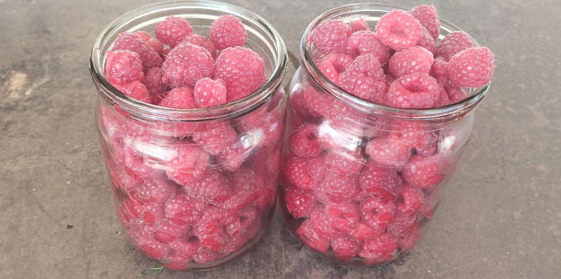 Какие ягоды продают в сентябре на рынке в Слониме: пятничный обзор цен