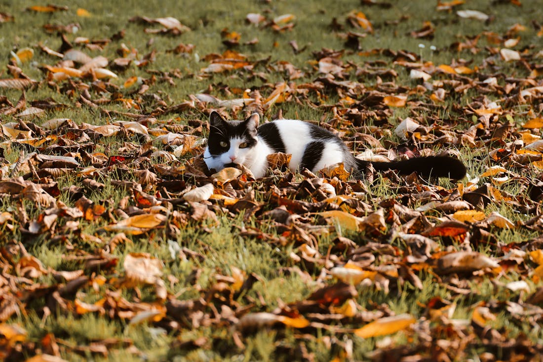 Какой будет погода в Гродненской области с 7 по 9 октября