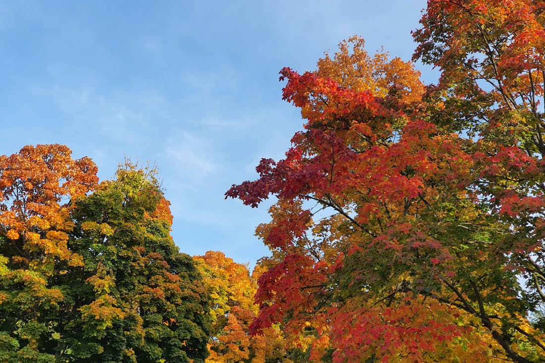 Какой погоды ждать жителям Гродненщины 15-17 октября
