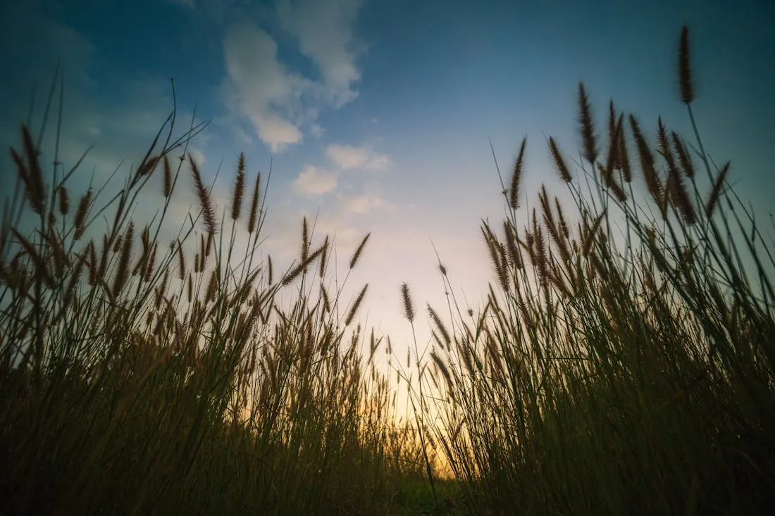 Какой погоды ждать жителям Гродненщины 7-9 августа