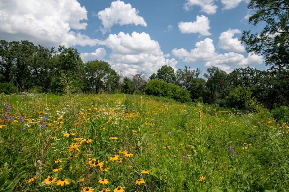 Когда на Гродненщине потеплеет до +25 градусов, рассказали синоптики