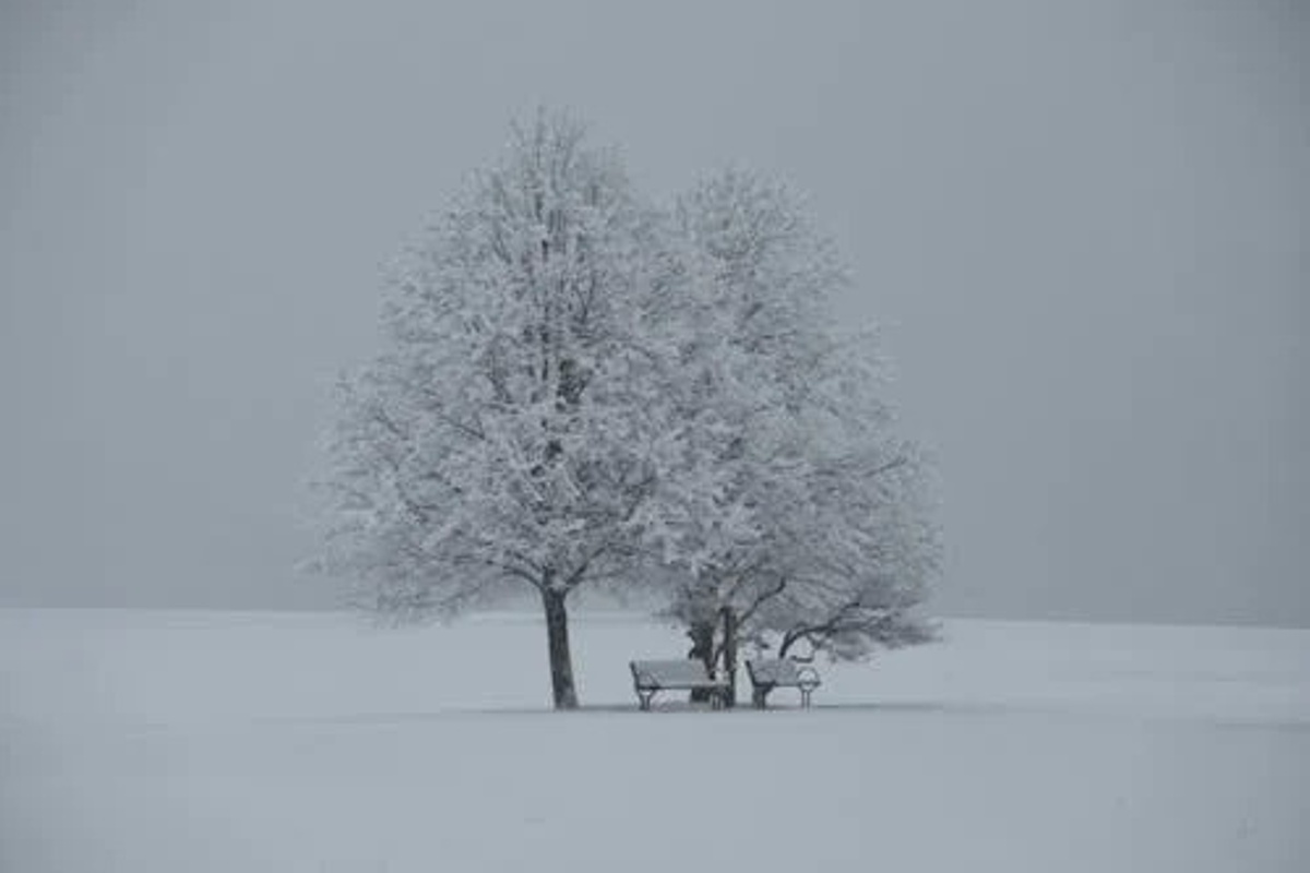 Когда снег — не снег: синоптики рассказали о зимнем феномене