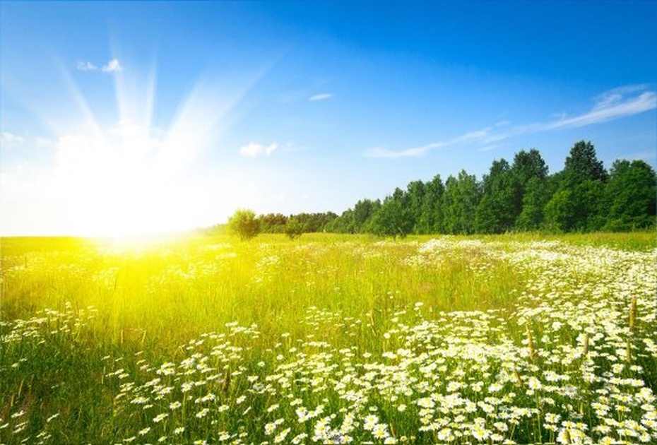 Лето возвращается: синоптики пообещали настоящее тепло уже 15 июня