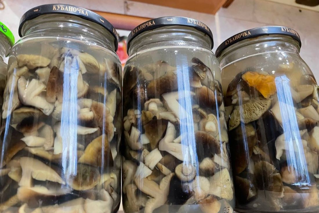 Маринованные подзелёнки: рецепт, проверенный десятилетиями