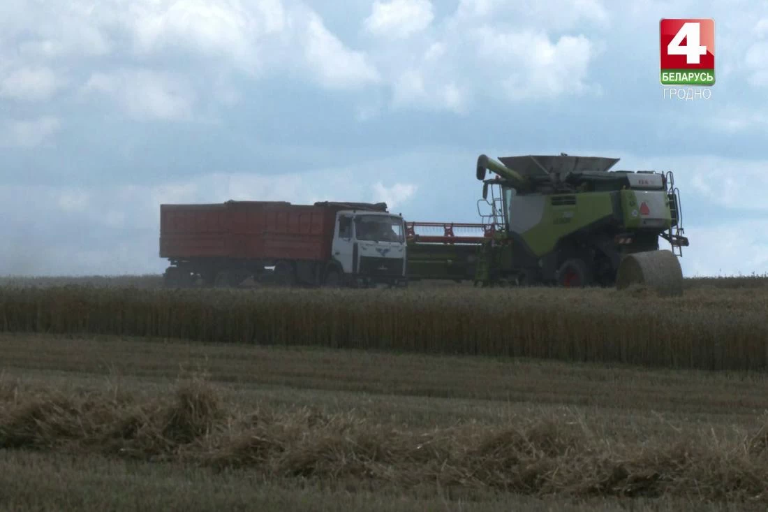 Механизатор слил 200 литров топлива. Милиция проверяет аграрный сектор