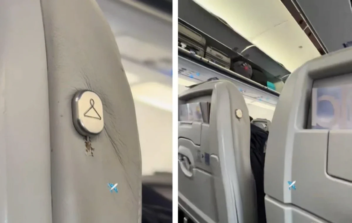 Многие пассажиры не знают, для чего нужна эта кнопка в самолете: нажимаешь на нее, и она активируется