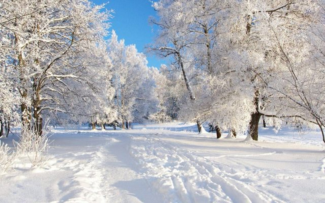 Мороз или оттепель? Узнаём по приметам, что готовит погода