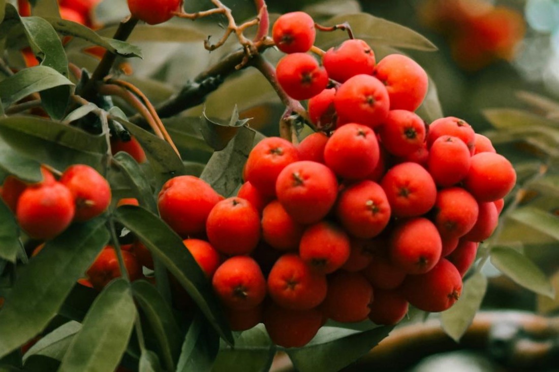 На Гродненщине потеплеет: о погоде на 19-21 сентября