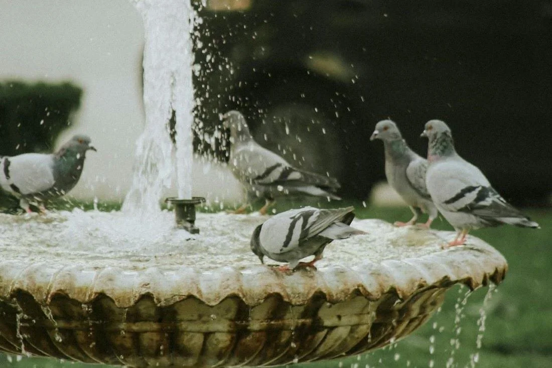 На Гродненщину придет небывалая жара