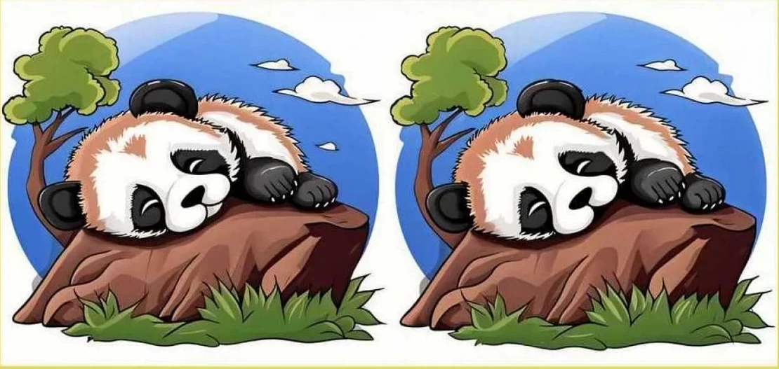 На картинке спрятаны 3 отличия. Сможете найти?