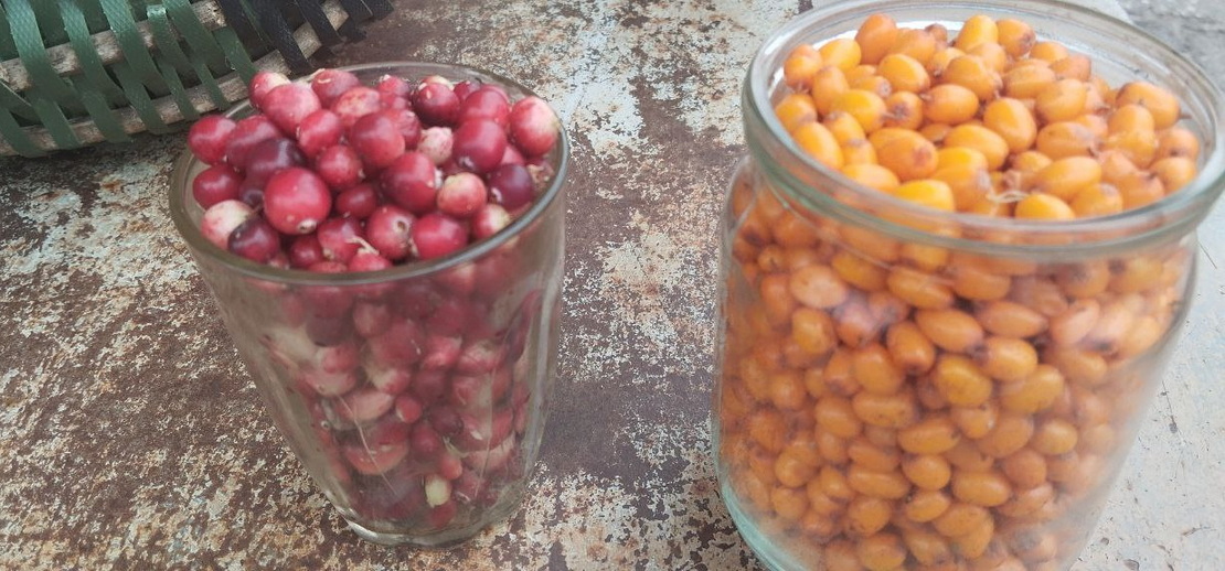 На слонимском рынке появилась первая клюква: смотрим цены на сезонные овощи и фрукты