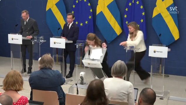 Новый министр здравоохранения Швеции потеряла сознание в первый же рабочий день