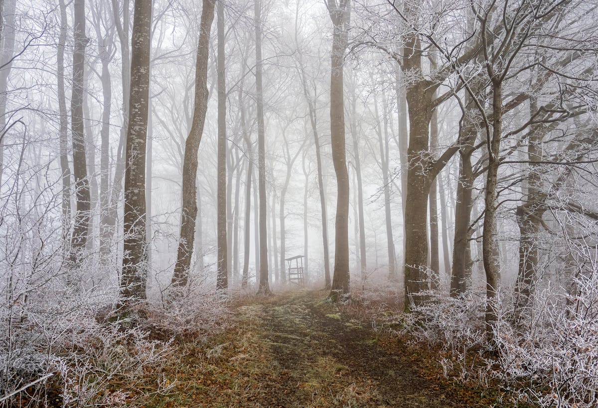 О погоде на Гродненщине 1-3 декабря