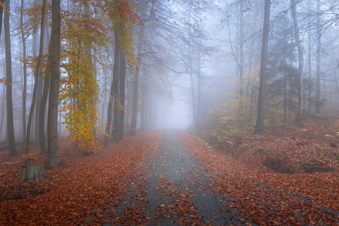 О погоде на Гродненщине 12-14 ноября