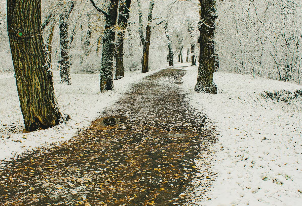 О погоде на Гродненщине 29 ноября – 1 декабря