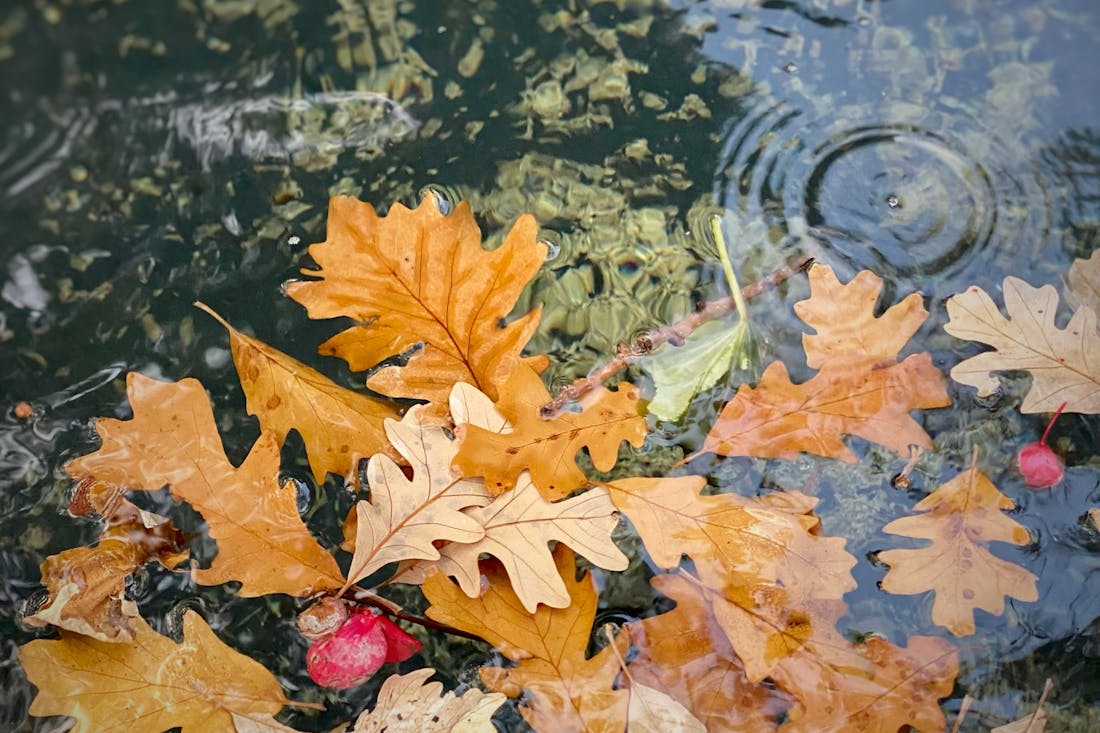 О погоде в Гродненской области в выходные