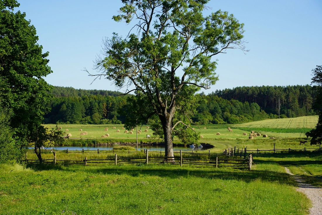 Облачные сюрпризы с короткими дождями и грозой. О погоде на Гродненщине 12-14 июля